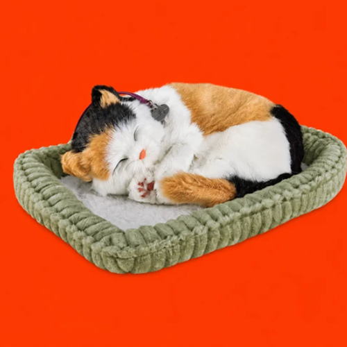 The Bodega Cat logo — calico cat in a green bed